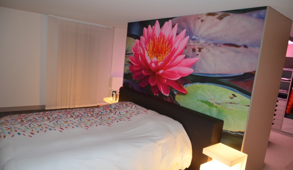 decosystem-photo